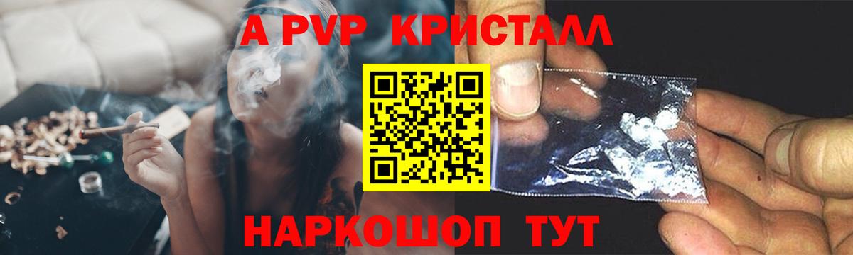 Альфа ПВП СК Новороссийск