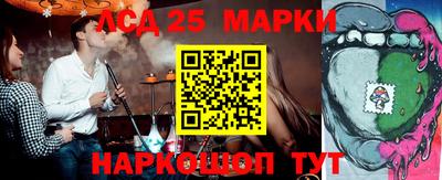 дмт Славгород