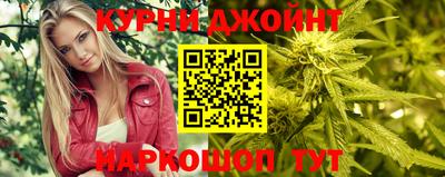 дмт Славгород