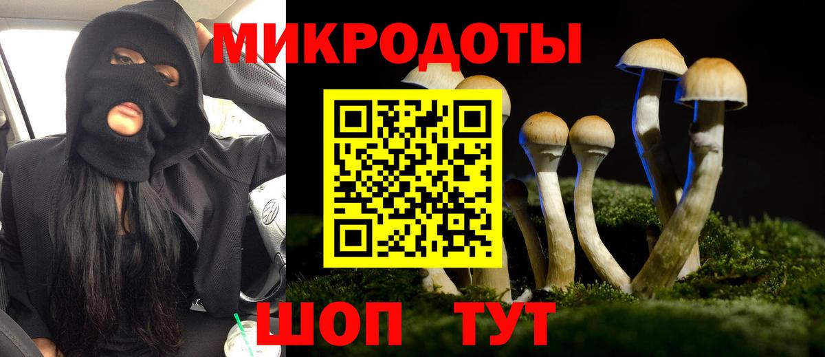 Псилоцибиновые грибы GOLDEN TEACHER Новороссийск
