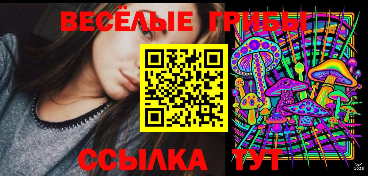 Галлюциногенные грибы Cubensis  Псилоцибиновые грибы Cubensis  Новороссийск  Вход с VPN 